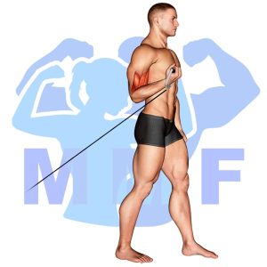 Graphic image of One Arm Bicep Cable Curls.