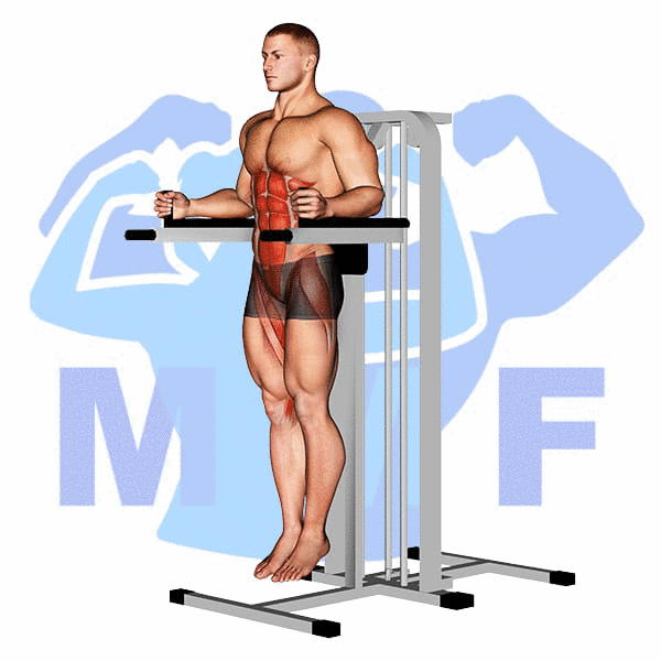Graphic image of a muscular man performing Parallel Bar Leg Raise.
