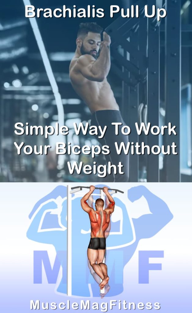 Pin image for brachialis pull up post. With an image of a man performing the exercise on Top and a graphic of the exercise on the Bottom.