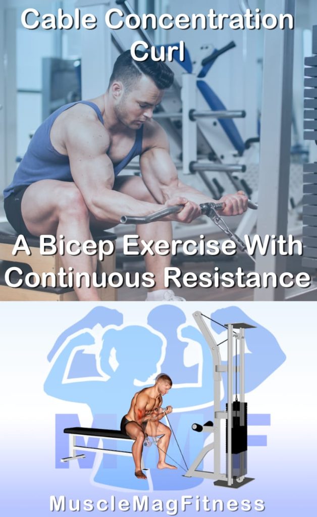 Pin image for seated cable concentration curlss post. With an image of a man performing the exercise on Top and a graphic of the exercise on the Bottom.