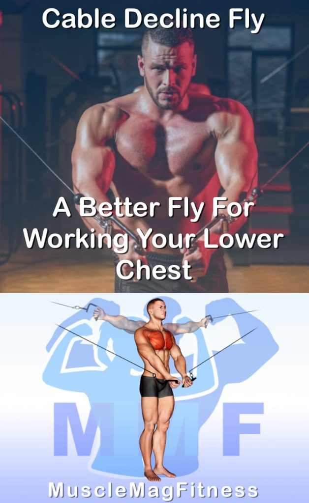 Pin image for cable decline fly post. With an image of a man performing the exercise on Top and a graphic of the exercise on the Bottom.