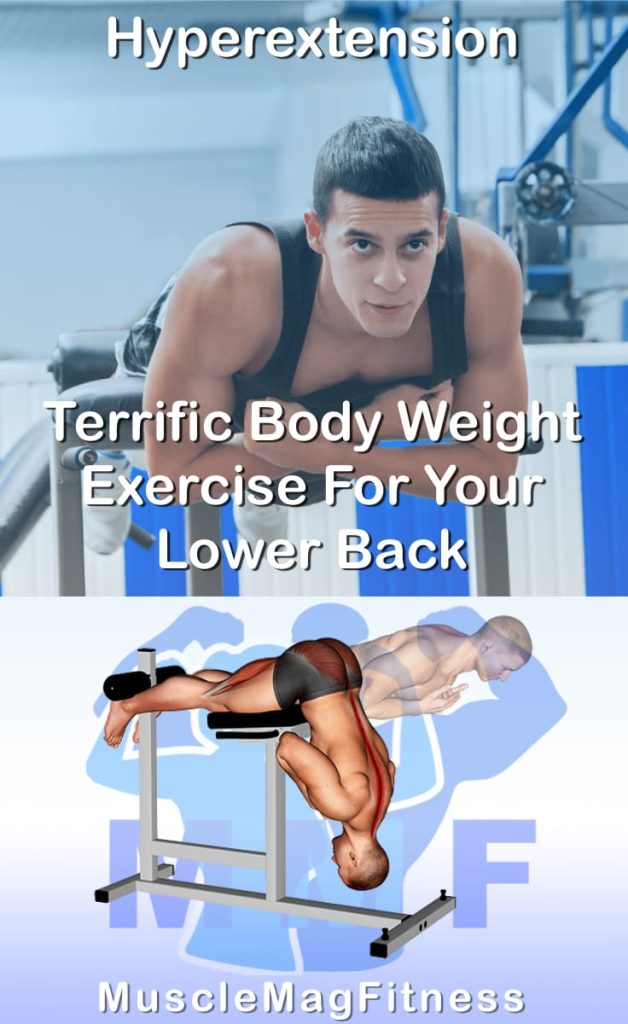 Pin image for hyperextension post. With an image of a man performing the exercise on Top and a graphic of the exercise on the Bottom.