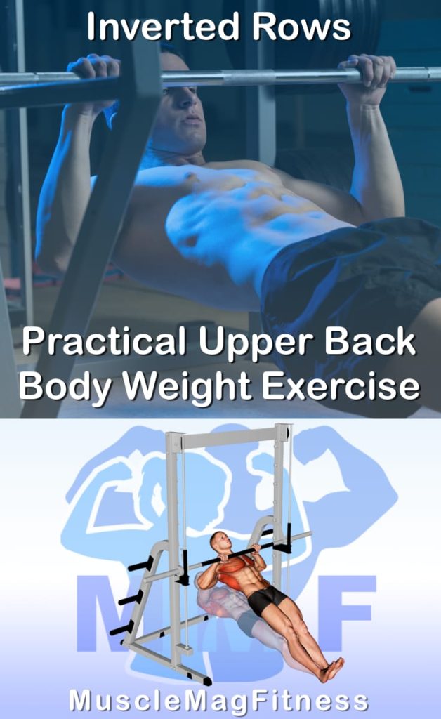 Pin image for inverted rows post. With an image of a man performing the exercise on Top and a graphic of the exercise on the Bottom.