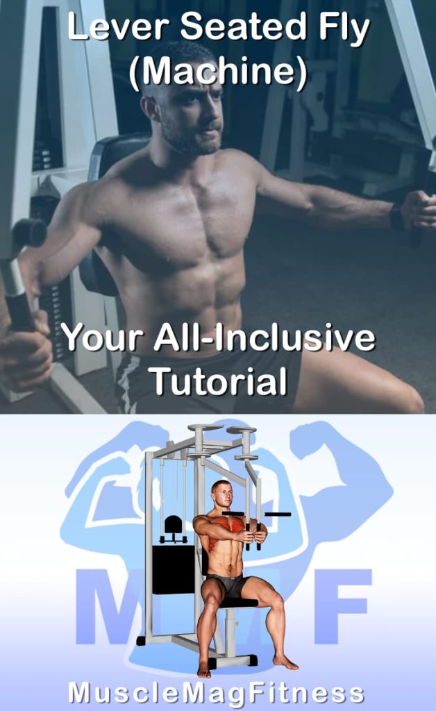 Pin image for lever seated fly post. With an image of a man performing the exercise on Top and a graphic of the exercise on the Bottom.