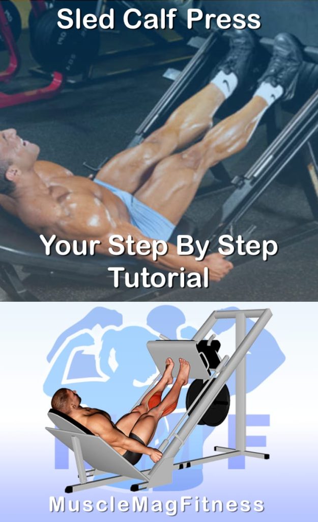 Pin image for sled calf press post. With an image of a man performing the exercise on Top and a graphic of the exercise on the Bottom.