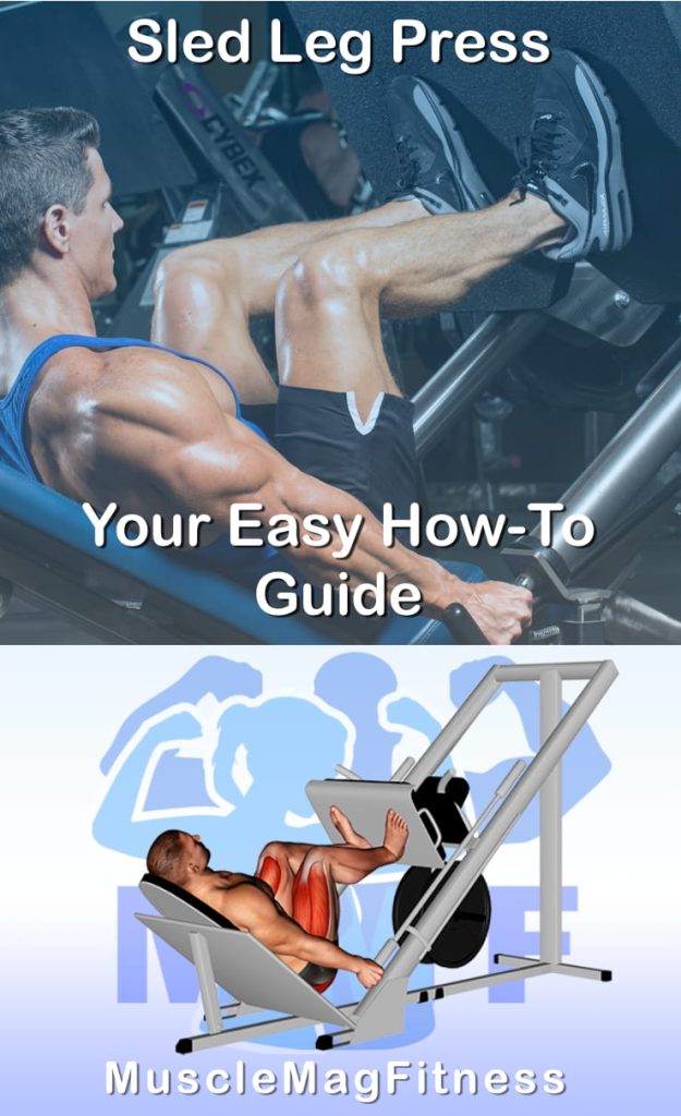 Pin image for sled leg press post. With an image of a man performing the exercise on Top and a graphic of the exercise on the Bottom.