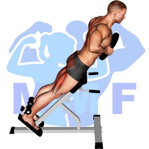 Graphic image of Plate Hyperextension.