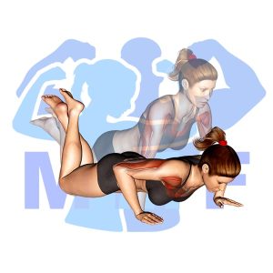 Graphic image of Push Up From Knees.