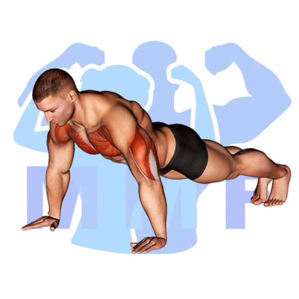Graphic image of a fit woman performing Push Ups.