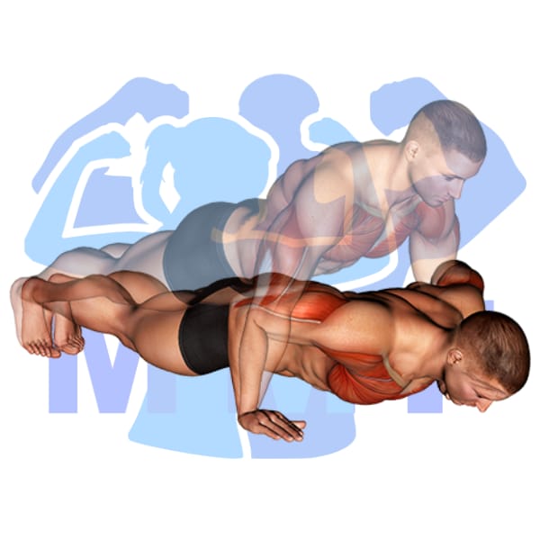 Graphic image of a fit woman performing Push Ups.