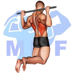 Graphic image of Rear Pull Up.