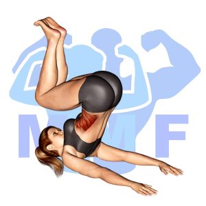 Graphic image of Reverse Crunch.
