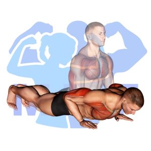 Graphic image of Reverse Dip.