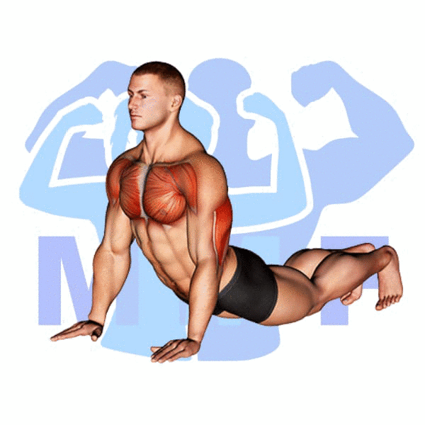 Graphic image of a muscular man performing Reverse Dip.