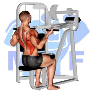 Graphic image of Reverse Grip Lat Pulldown.
