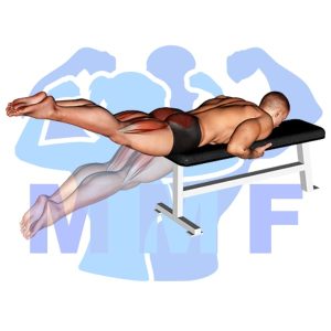 Graphic image of Reverse Hyperextension.