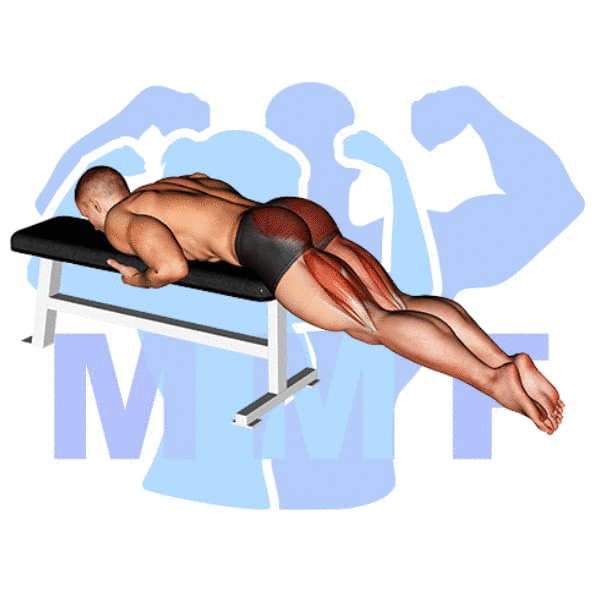 Graphic image of a muscular man performing Reverse Hyperextension.