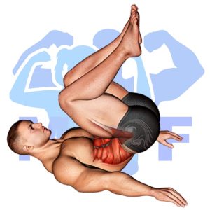 Graphic image of Reverse Sit Up.