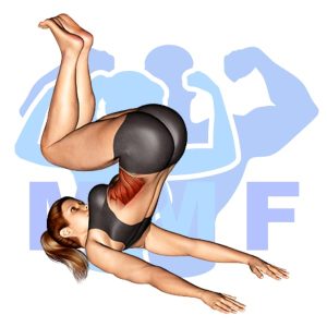 Graphic image of Roll Ups.