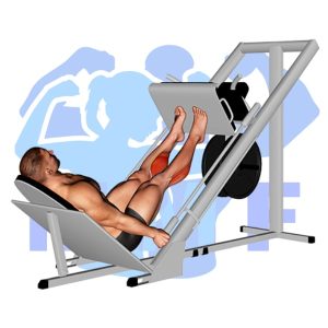 Graphic image of Sled Calf Press.
