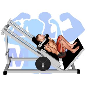 Graphic image of Sled Full Hack Squat.