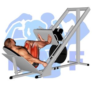 Graphic image of Sled Leg Press.