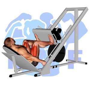 Graphic image of Sled Leg Wide Press.