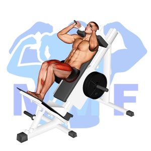Graphic image of Sled Narrow Stance Hack Squat.