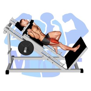 Graphic image of Sled One Leg Hack Squat.