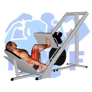 Graphic image of Sled One Leg Press.