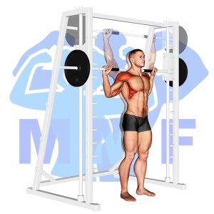 Graphic image of Smith Machine Behind Head Military Press.