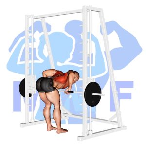 Graphic image of Smith Machine Bent Over Row.