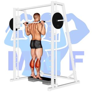 Graphic image of Smith Machine Calf Raise.