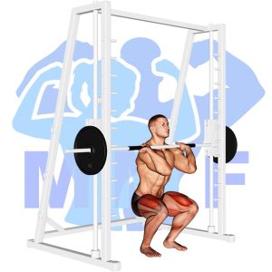 Graphic image of Smith Machine Clean Grip Front Squat.