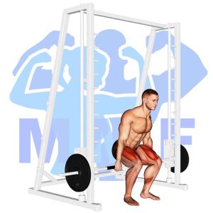 Graphic image of Smith Machine Hack Squat.