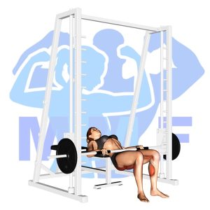 Graphic image of Smith Machine Hip Thrust.