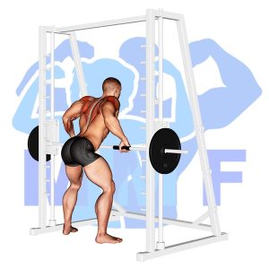 Graphic image of Smith Machine Rear Delt Row.