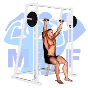 Graphic image of Smith Machine Shoulder Press.