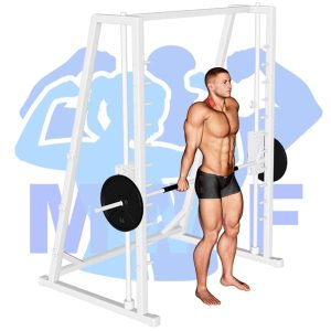 Graphic image of Smith Machine Shrug.