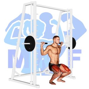 Graphic image of Smith Machine Squat.