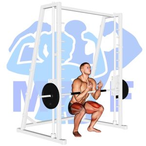 Graphic image of Smith Machine Zercher Squat.