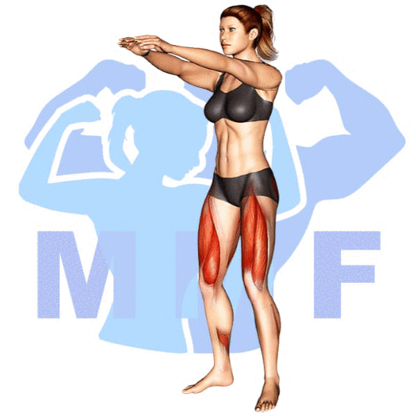 Graphic image of a fit woman performing Squat.