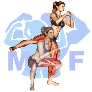Graphic image of Squat Sidekick.