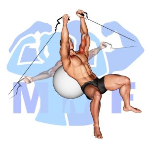 Graphic image of Stability Ball Cable Flys.