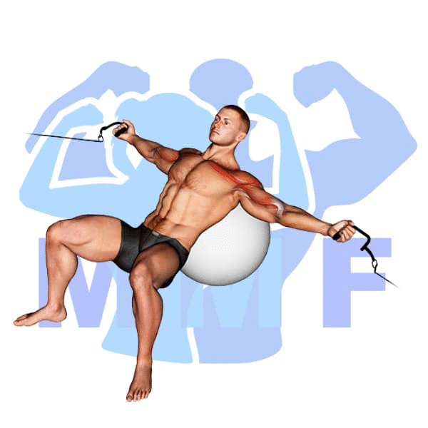 Graphic image of a muscular man performing Stability Ball Cable Flys.
