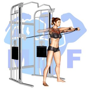 Graphic image of Standing Cable Chest Press.