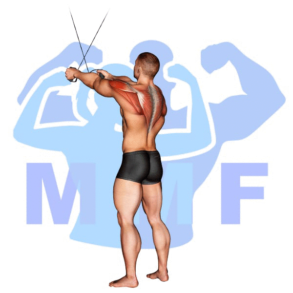 Graphic image of a muscular man performing Standing Cable Crossover Delt Fly.