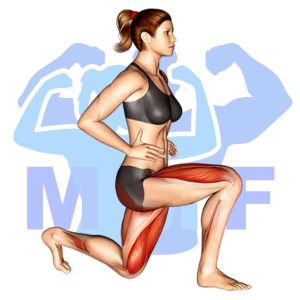 Graphic image of Stationary Lunges.
