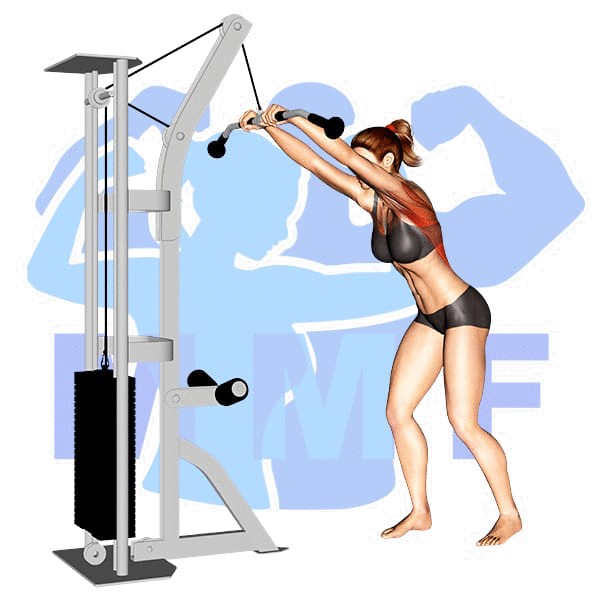 Graphic image of a fit woman performing Straight Arm Lat Pulldown.