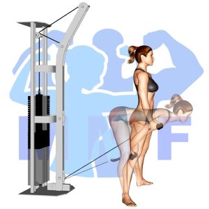 Graphic image of Straight Leg Cable Pull Through.